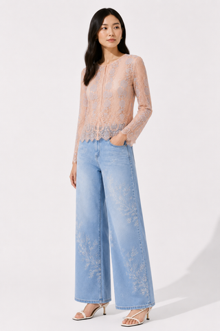 Blush Lace Long Sleeve blouse