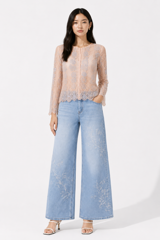 Blush Lace Long Sleeve blouse